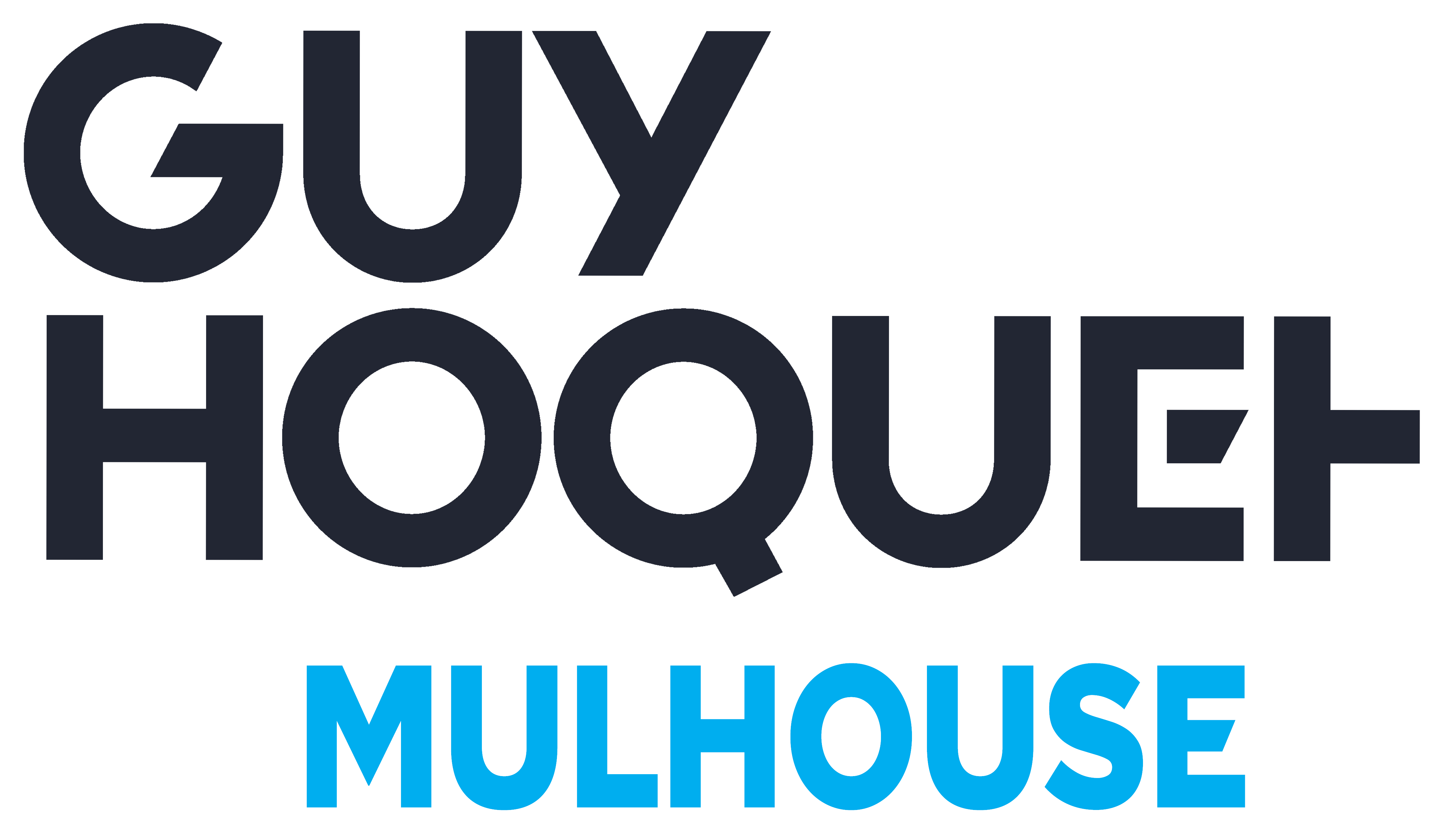 Guy Hoquet Mulhouse détouré